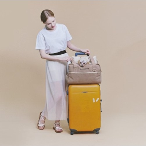 가을이네 강아지 멀티 이동가방 콘솔카시트 숄더백 기내용가방 특허받은 반려견 이동장 138,000원