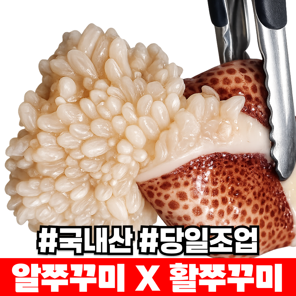 [서해안1등집] 쫀득찰진 알쭈꾸미 국내산 활쭈꾸미, 1박스, 1kg 44,900원