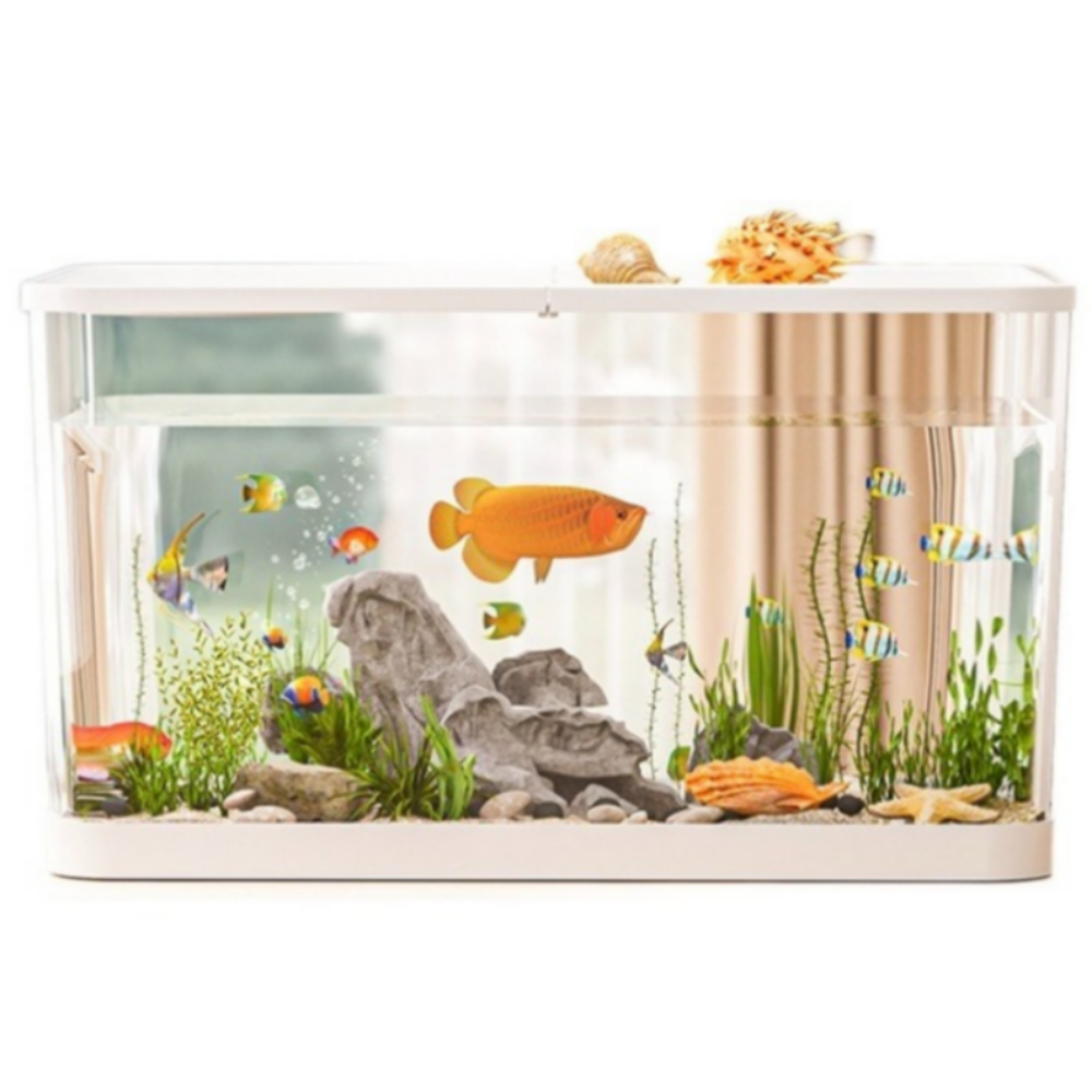 가볍고 깨지지 않는 투명 아크릴 수족관 거북이 어항, 1개, 화이트, 현재가 21,500원