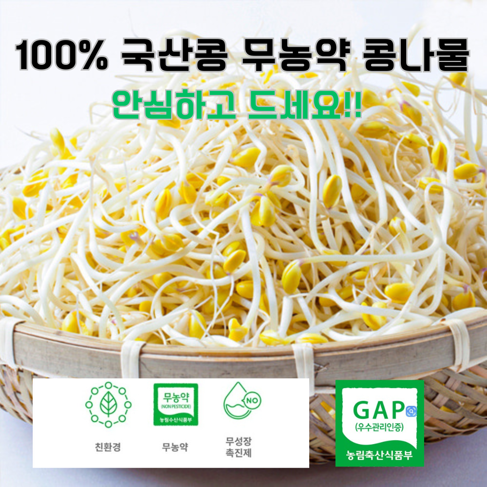 무농약 유기농 산소콩나물 1kg 2kg 3kg/ 친환경 국내산 신선 채소 천연 암반수로 청결 재배 나물 반찬용 식자재, 1개, 1kg 8,580원