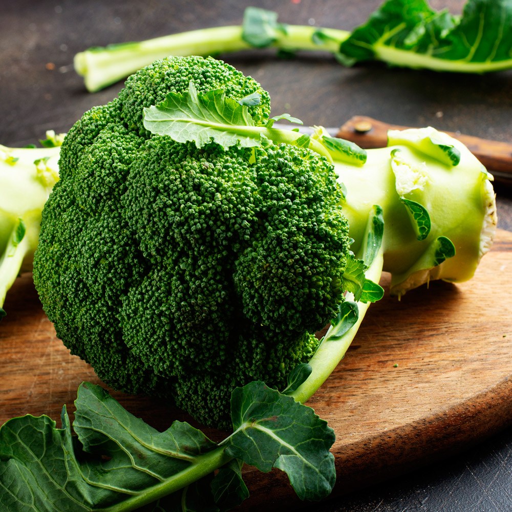 햇 수확 신선한 제철 제주 브로콜리 1kg 3kg 9,900원