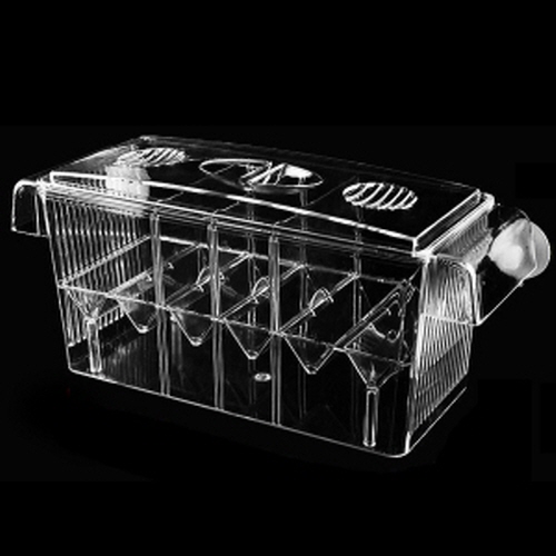 미미네아쿠아 CIVEE 다기능 3칸부화통 6,410원