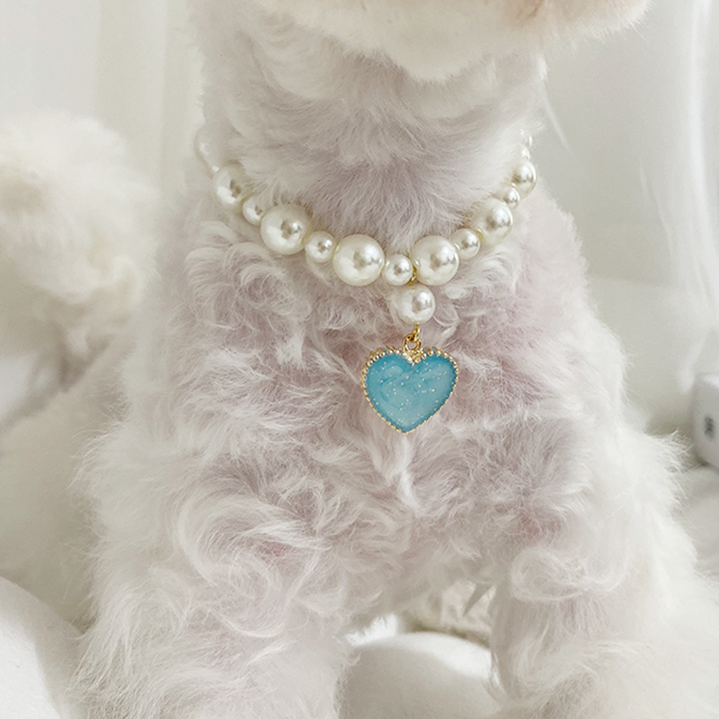 데댕 반려동물 진주 목걸이 14,900원