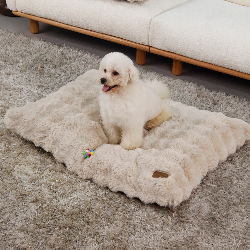 BingoPaw 강아지 방석 M-4XL 폭신 방석 하우스 방석 사각벙석 와플방석 커버분리 베이지 26,990원