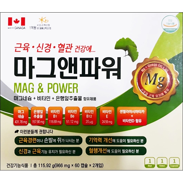 마그앤파워 60캡슐x2(4개월) / 마그네슘 비타민 은행잎추출물 기억력 혈행, 1개, 120정 99,900원