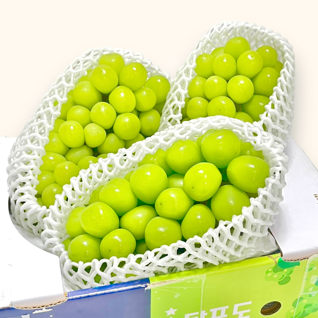 [타임특가] 초고당도 프리미엄 샤인머스켓 망고포도 10,500원