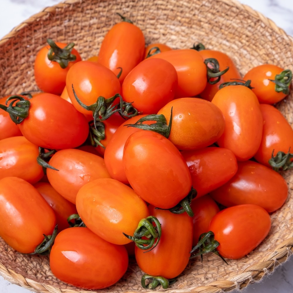 [선별출하] 고당도 산지직송 특상급 대추방울토마토, 1개, 5kg 43,920원