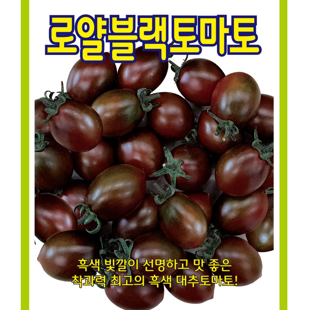 대추방울토마토씨앗 로얄블랙 10립 흑토마토씨앗, 1개 10,600원