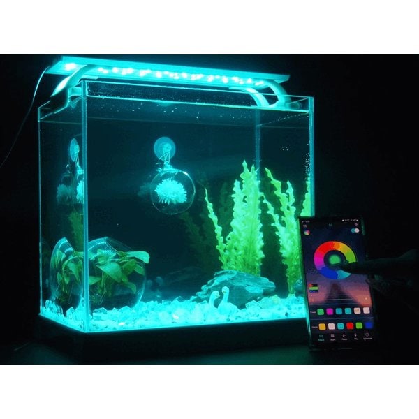 칸후 노블 블루투스 RGB조명 MD 250A 어플 제어 아쿠아유쥬 54,800원