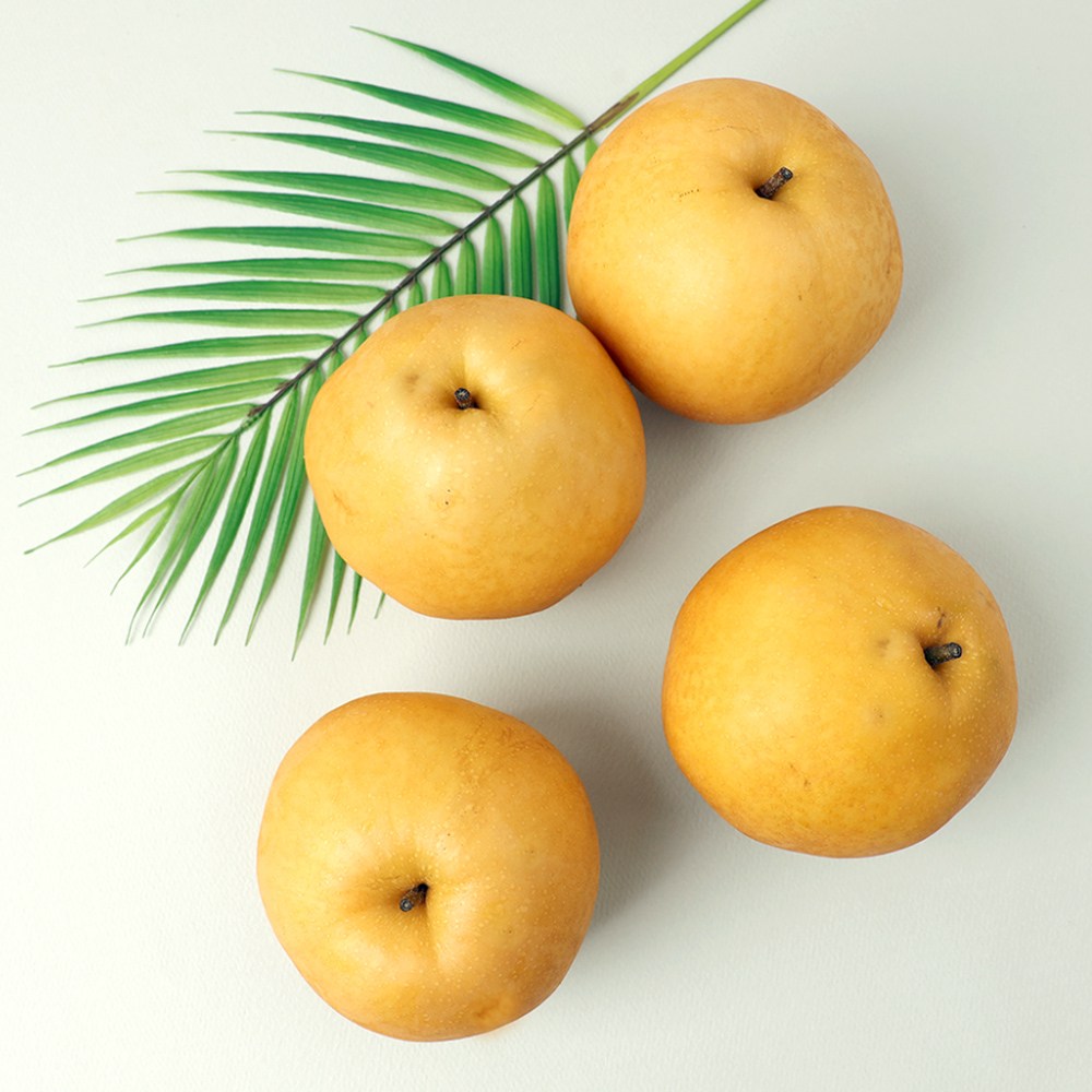 다복 맛콤과일 나주배 11,970원