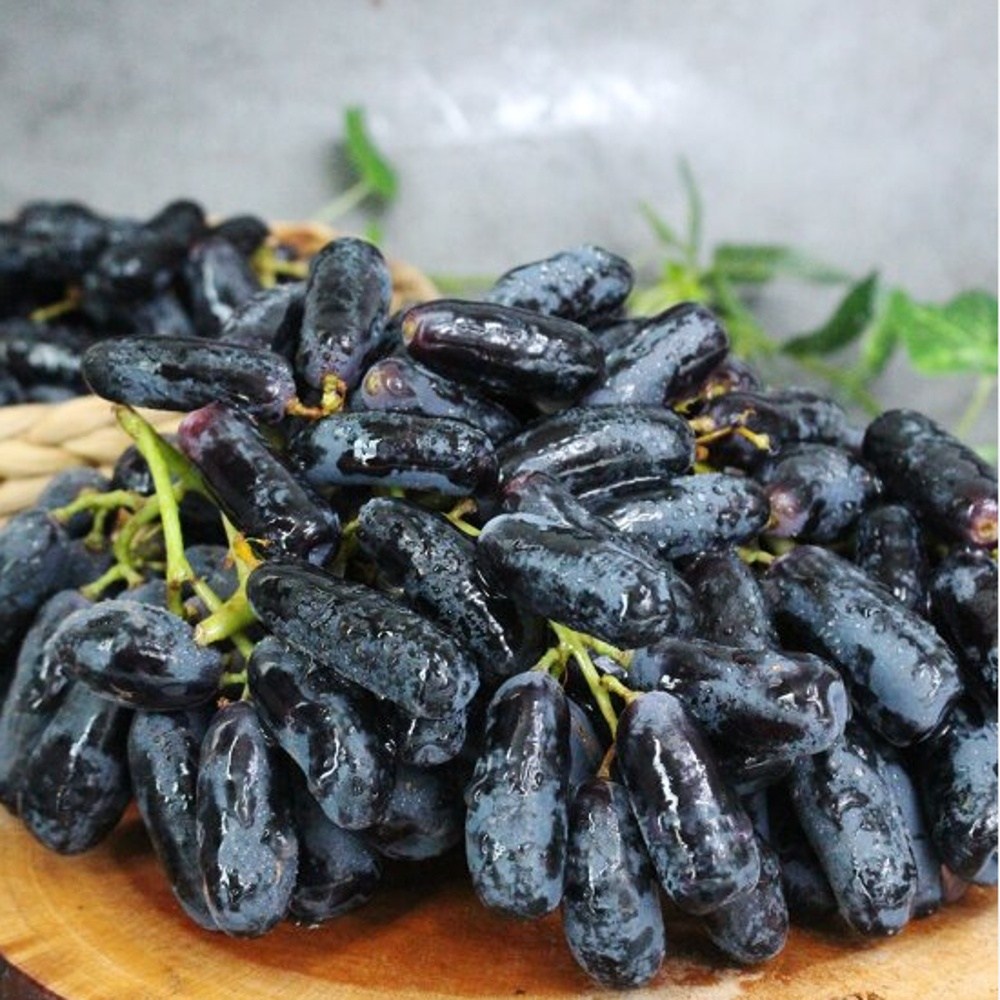 [타임 할인 15%] 씨없는 고당도 블랙 사파이어 포도, 1박스, 4kg 71,500원