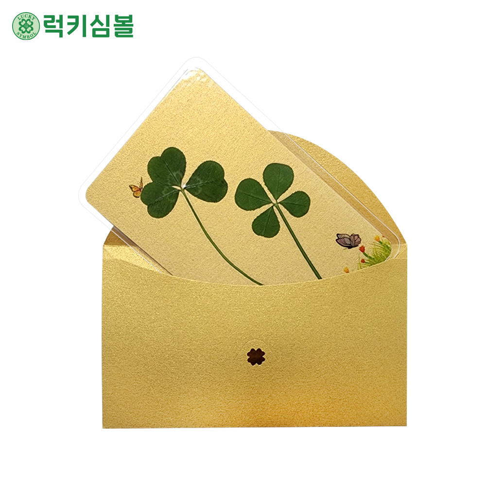 [럭키심볼] 행운의 더블 클로버생화 황금코팅카드+황금봉투세트 모음전 세잎클로버/네잎클로버/다섯잎클로버/여섯잎클로버/일곱잎클로버/여덟잎클로버, 1개, 01.세잎클로버+네잎클로버 5,900원