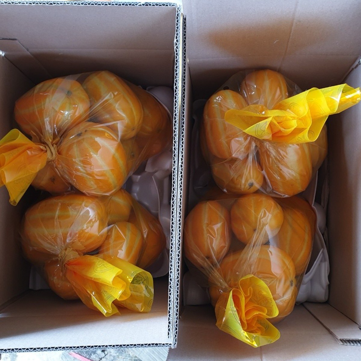 산지직송 당도선별 석군참외 성주참외 5kg 실중량, 성주참외 가정용 혼합과 5KG, 1박스 28,490원