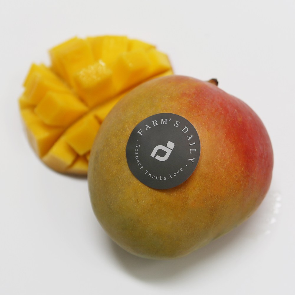 애플망고 레드망고 항공직송 특대망고 실속구성, 특대2과, 특대4과, 특대8과, 특대 2과 19,900원