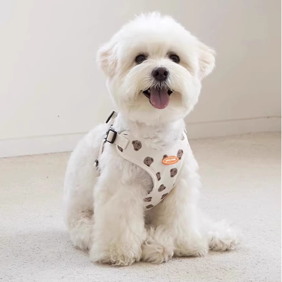 펫올웨이즈 강아지 하네스 목잠김 방지 초경량 하네스 리드줄 세트, 화이트 18,900원