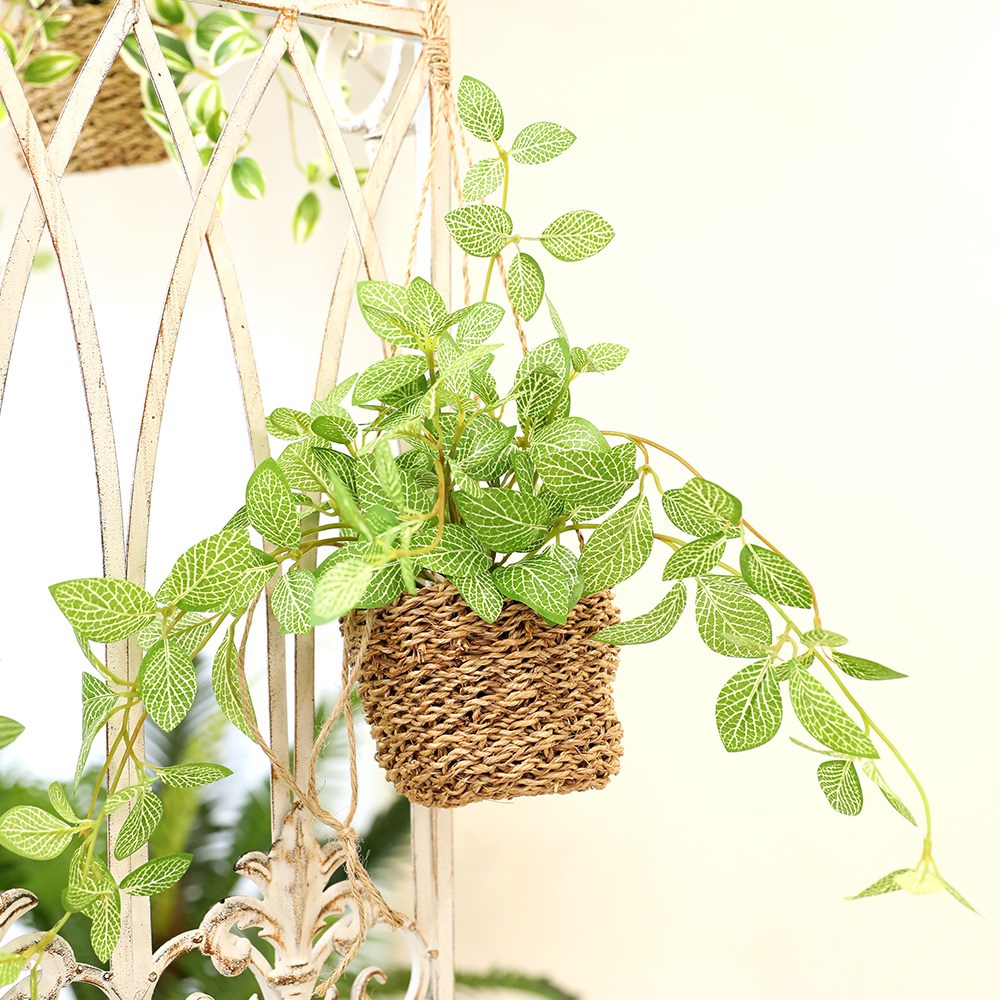 인테리어 조화 행잉플랜트 벽장식 가랜드 뉴행잉넝쿨 화분바구니세트 21,800원