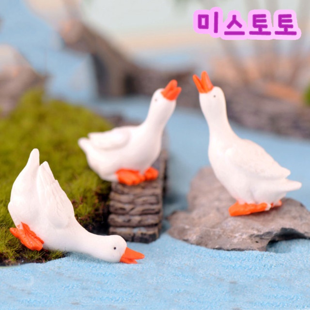 미스토토 테라리움 만들기 재료 거위3종 세트, 1개 1,730원