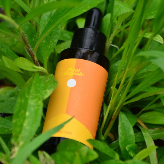 멜로우선 플랜트앰플 뿌리는 식물영양제 가정용 식물용 비료 실내 화초 화분용 40ml 17,370원