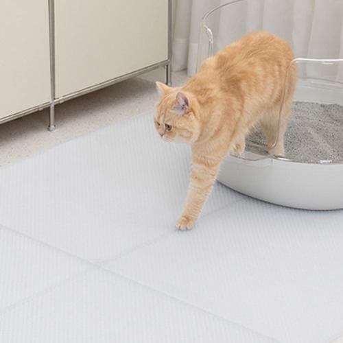 냥쌤 캐치매트 큐브타입, 투명, 1개 19,470원