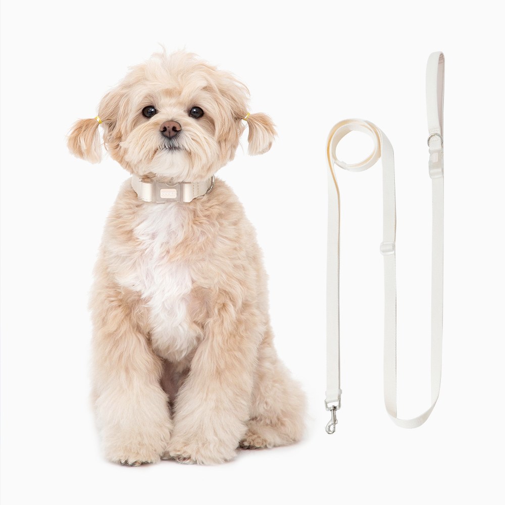 펫펫펫 강아지 목줄 + 리드줄 세트, 베이지, 1개 24,700원