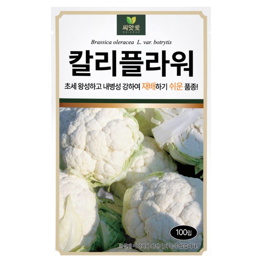 다농 씨앗애 칼리플라워 씨앗 100p 4,800원