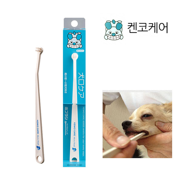 켄코케어 강아지 마이크로칫솔 4,340원