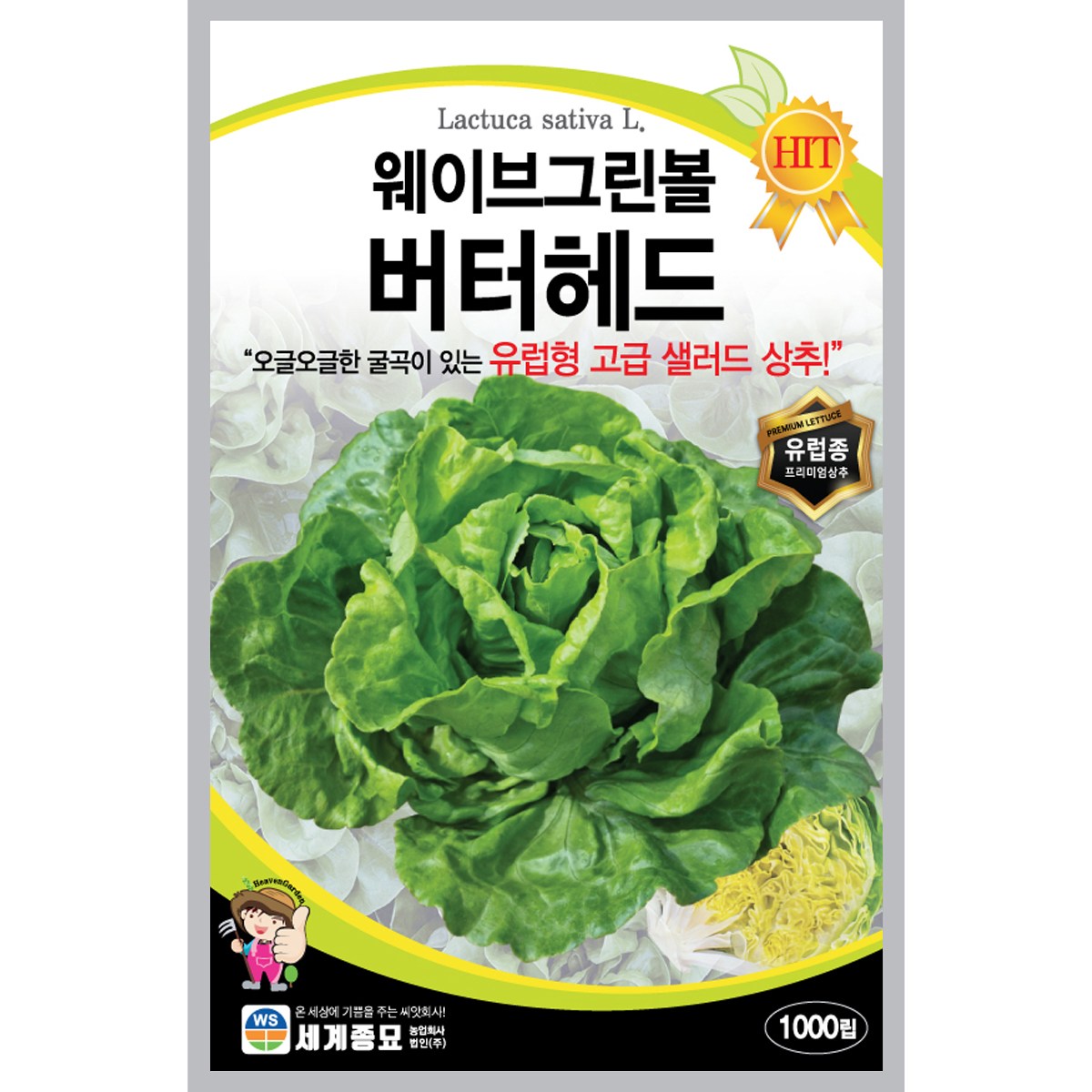 세계종묘 웨이브그린볼 버터헤드 씨앗 1000립 3,460원