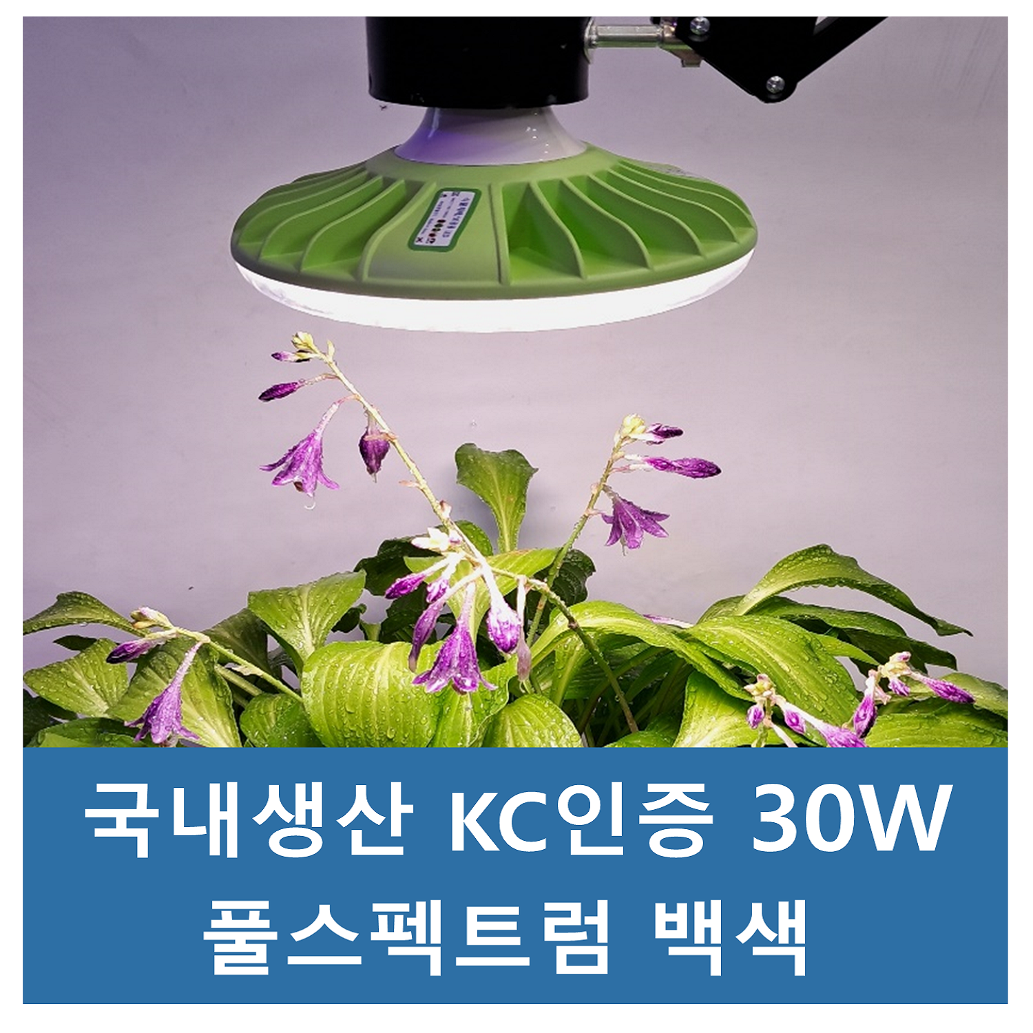 성광엘이디_ KC 한국생산 인증품 UFO 30W 백색 풀스펙트럼 식물LED 식물등 식물조명 재배 전구 성장 등 LED식물등_AS 10년 보증, 1개, 기타색 35,100원