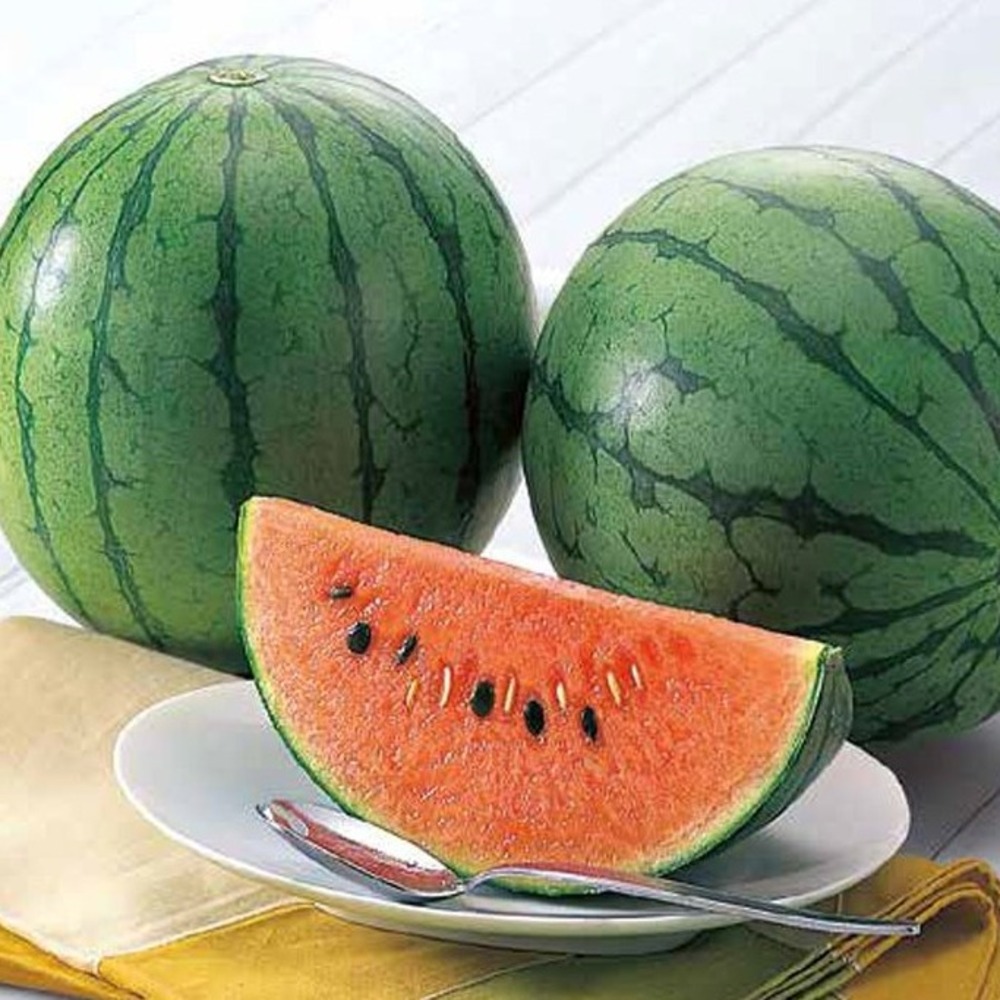 산지직송 12브릭스 이상 꿀수박 아삭 고당도 겨울 하우스 정품 수박 29,900원