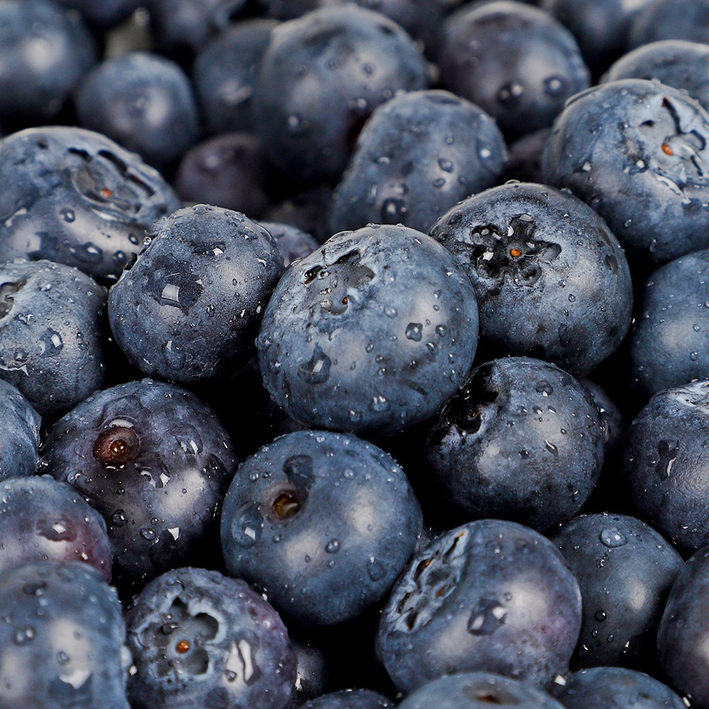 탱탱한 고당도 블루베리 생과, 1개, 블루베리 18-20mm 12팩 (한팩 125g내외) 46,900원