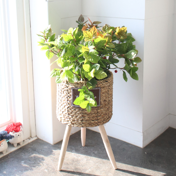 모리앤 우드다리 원형 라탄 바스켓 화분, 브라운, 1개 20,600원