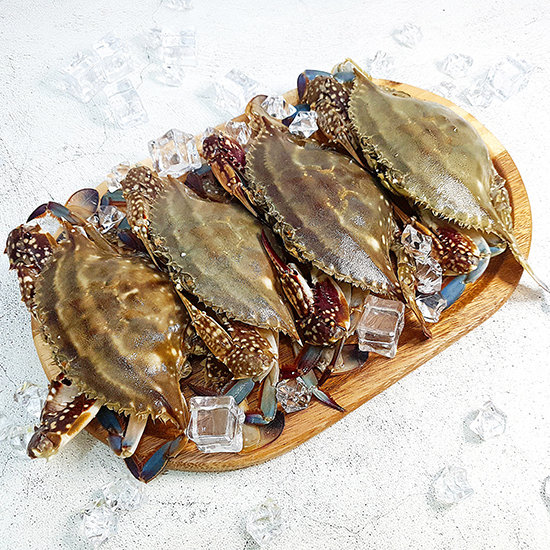 [재구매1위] 산지직송 연평도 활암꽃게 알배기, 1개, 1kg 42,800원