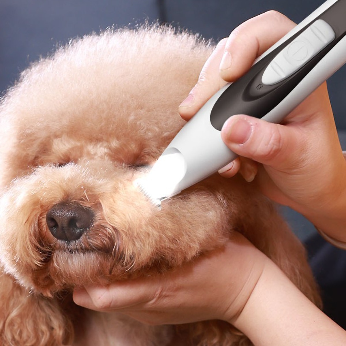 oneisall 강아지발바닥바리깡, 저소음35dB 무선 장시간사용, 백색, 1개 93,000원