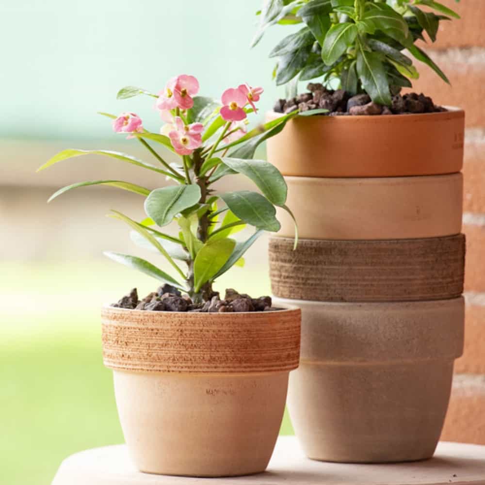 제니앤굿즈 바소 팔라디오 원형 테라코타 토분 화분 미니 식물용 25x22cm 브라운 30,500원