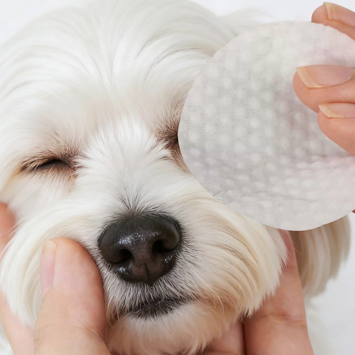 강아지 고양이 겸용 눈물티슈 눈물자국 케어 아이클리닝 패드 100매 저자극 15,920원