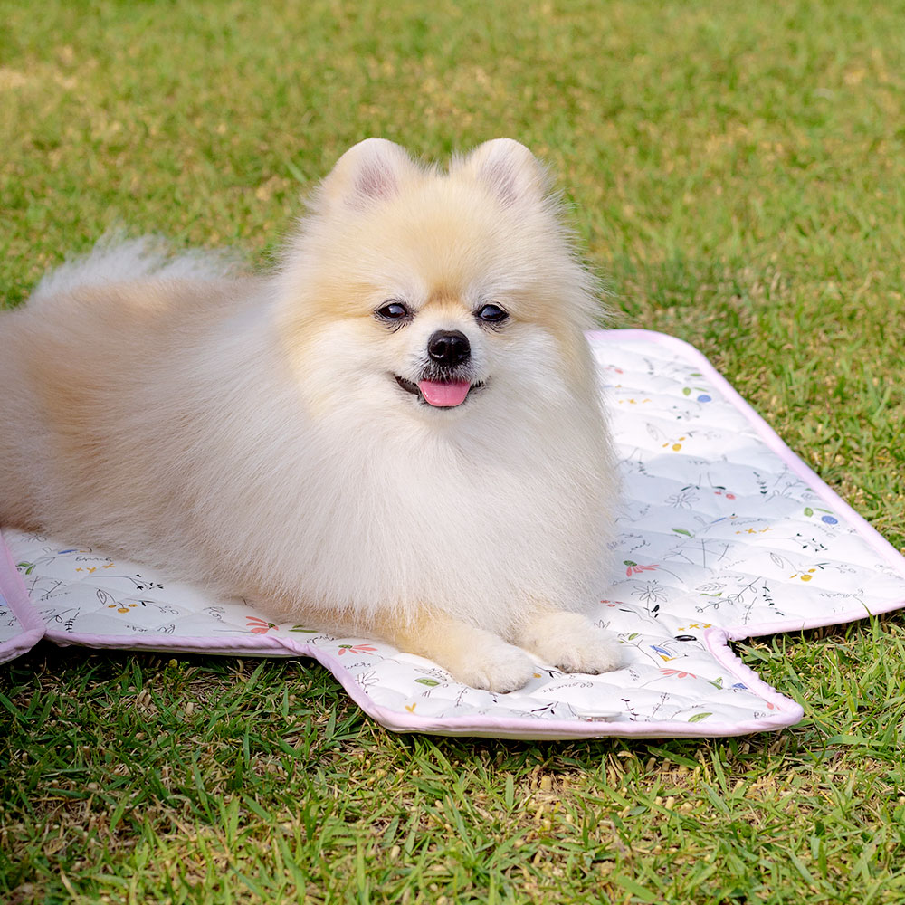 킁킁 강아지 슝슝 산책용 방수매트, 딸기스무디, 1개 28,900원