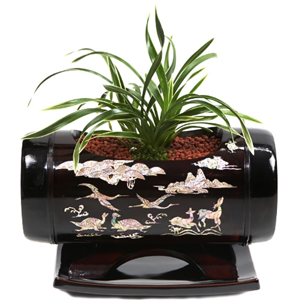 동양란 선물 BEST 1위 : 대나무십장생나전칠기 황제 g-0044 (수도권배송 택배배송) 사진전송 승진 진급 취임 영전 인사이동 개원화분, 1개 294,500원