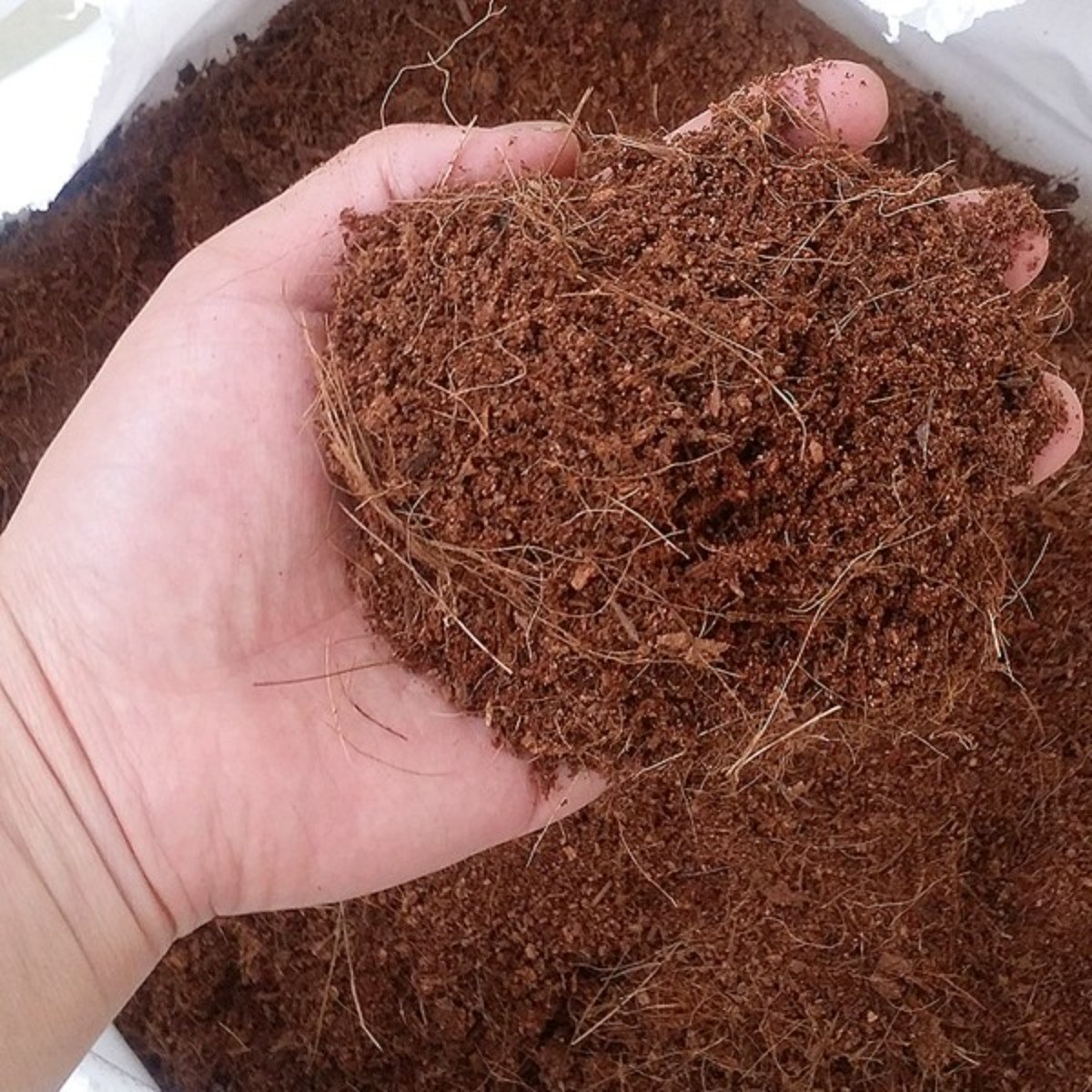 조이가든센터 코코피트 - 200리터 43,000원