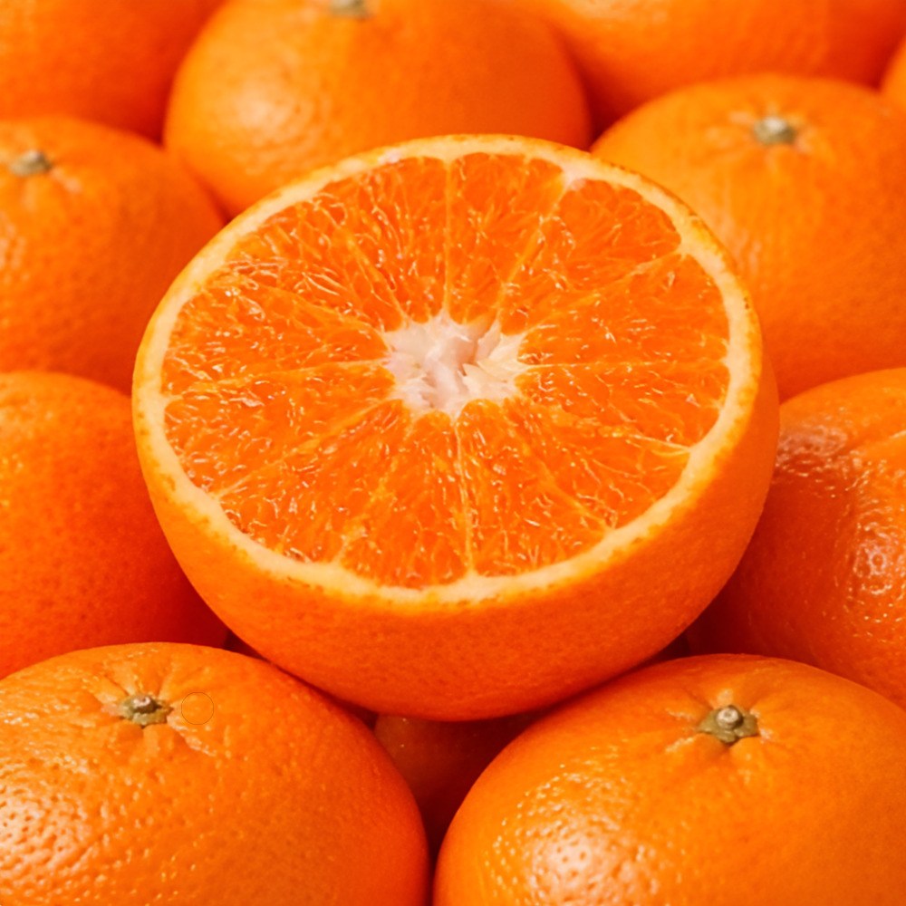 제주 초고당도 가정용 하우스 레드향, 1박스, 10kg(못난이혼합과) 45,310원