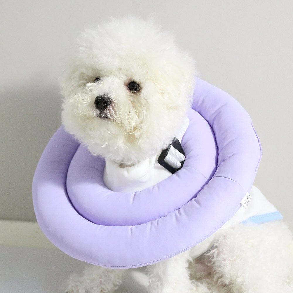 드림계곡 반려동물 강아지 긁기 핥기 방지 초경량 방수 넥카라, 1개, 보라색 15,900원