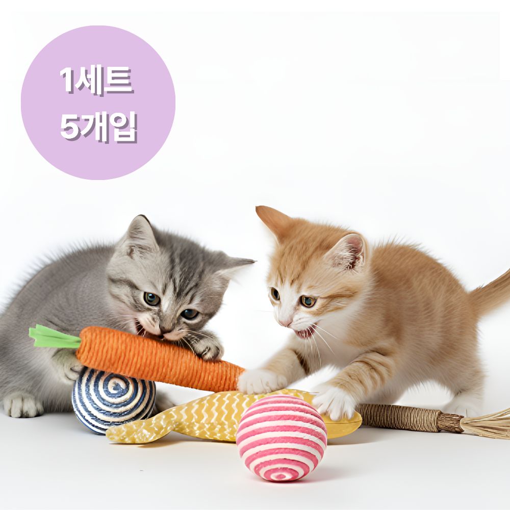 샤샤픽 이갈이 고양이 장난감, 1개, 5종 8,900원