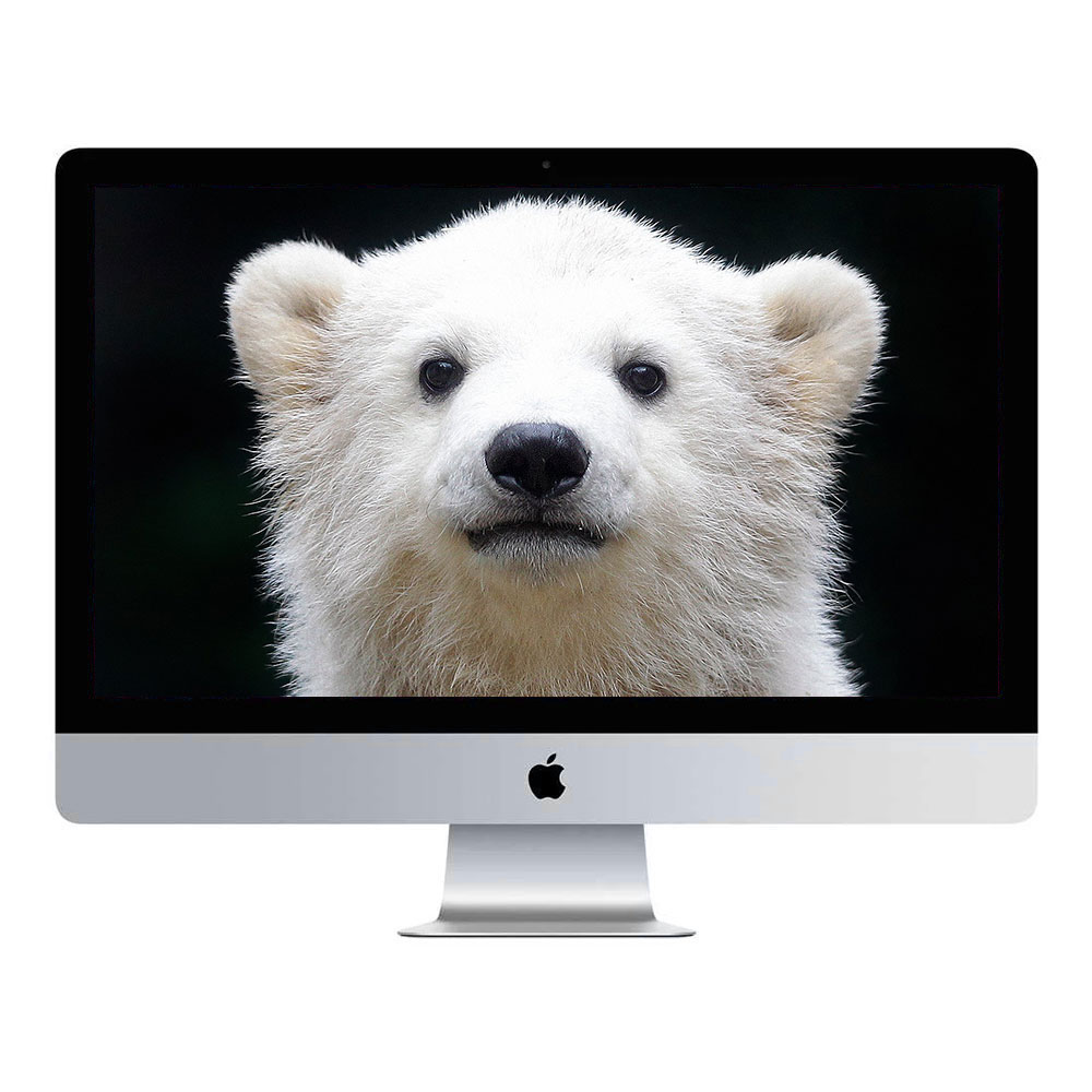 중고 애플 아이맥 2019 A2115 5K 27형 레티나 디스플레이 i9-9900K 64G SSD 1TB Radeon Pro 575X, 애플 A2115, MAC OS, 1TB, 64GB, 플래티넘 실버 1,560,000원