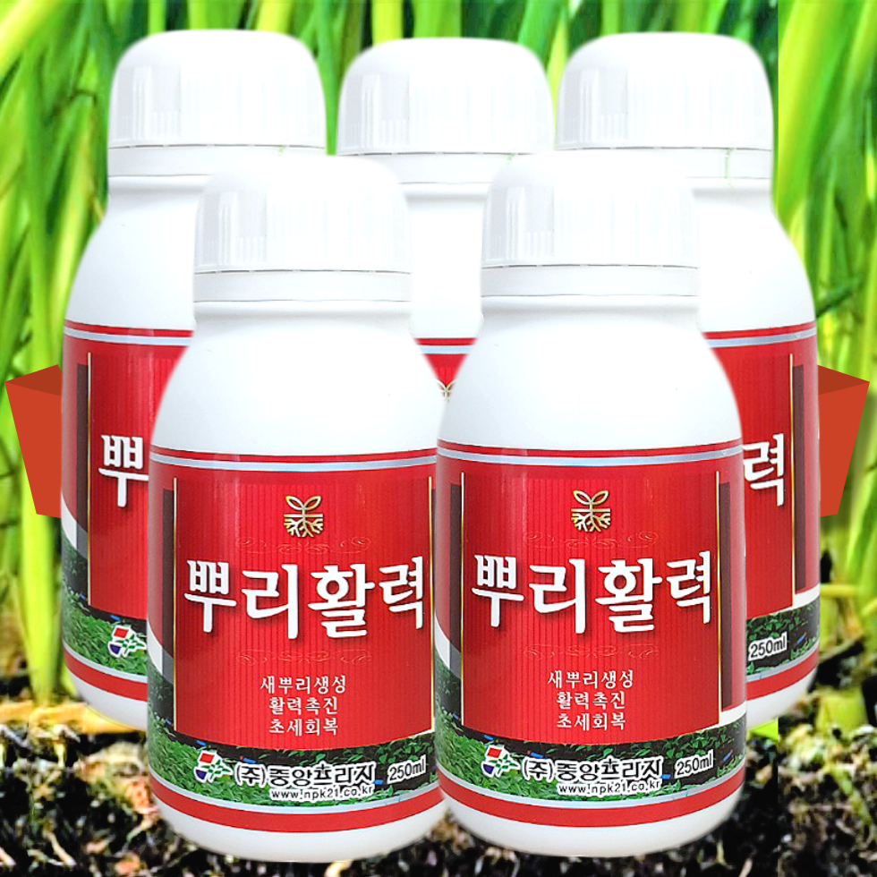 고추뿌리발근제 식물뿌리발근제 식물뿌리영양제 화초뿌리영양제 뿌리활력제 육묘 모종 삽목 뿌리발근제 무 무우 마늘 뿌리활력 50,000원