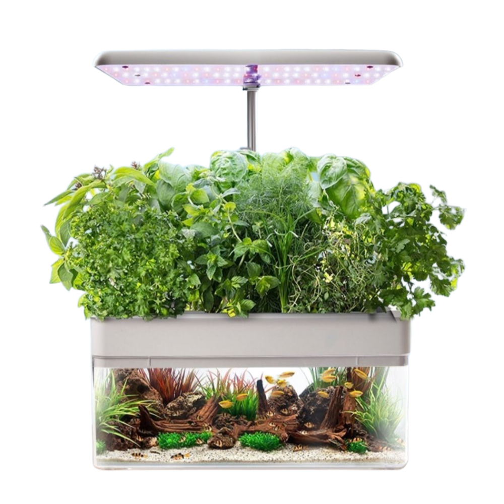 우리텃밭 어항 식물재배기 한번에 2in1 유기농 채소 야채 상추 재배 자동 물순환 LED 282,000원