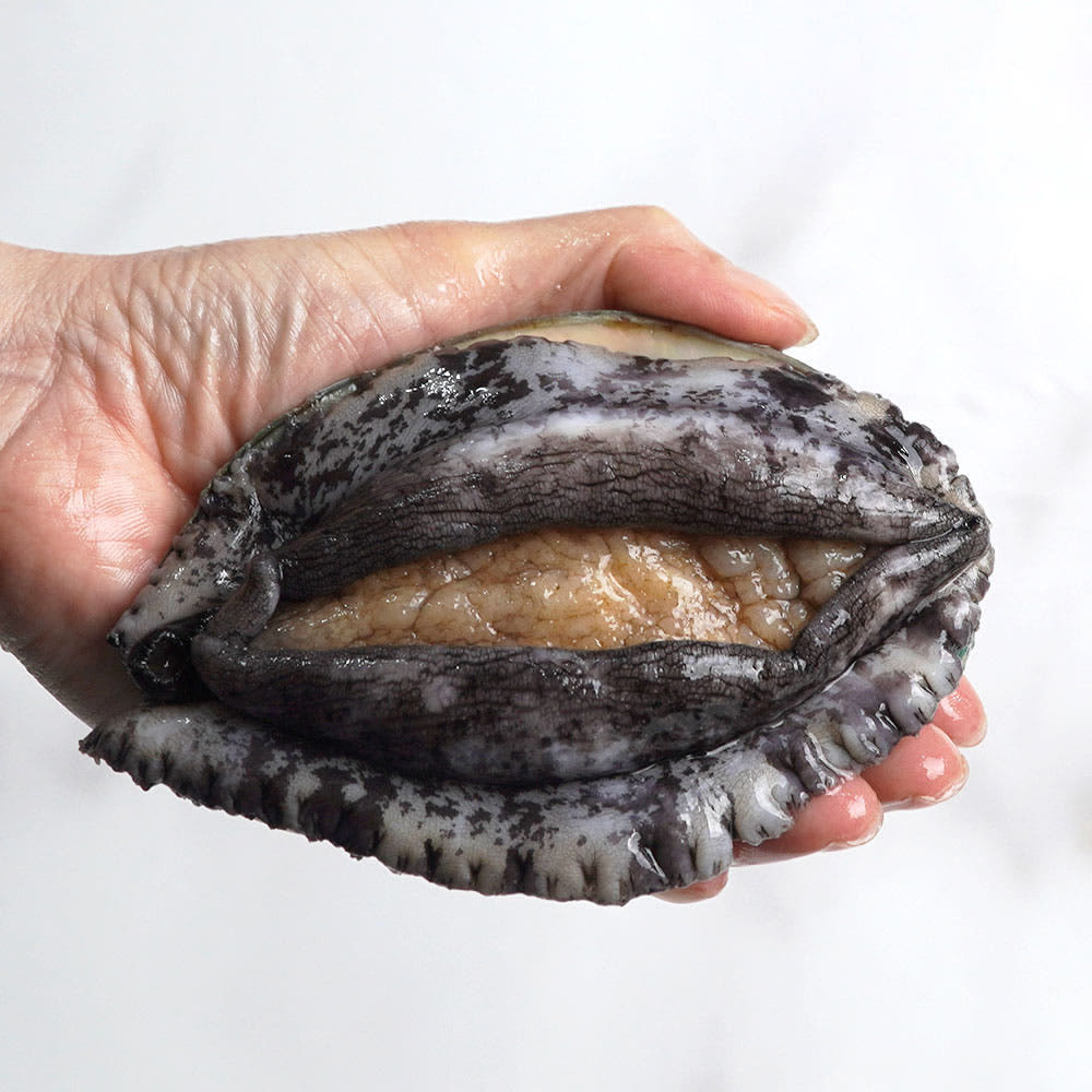 완도사랑 싱싱할 활 전복 완도산 직거래 산지직송 산소포장, 1개, (대전복) 10-12미 (산소포장), 1kg 30,830원