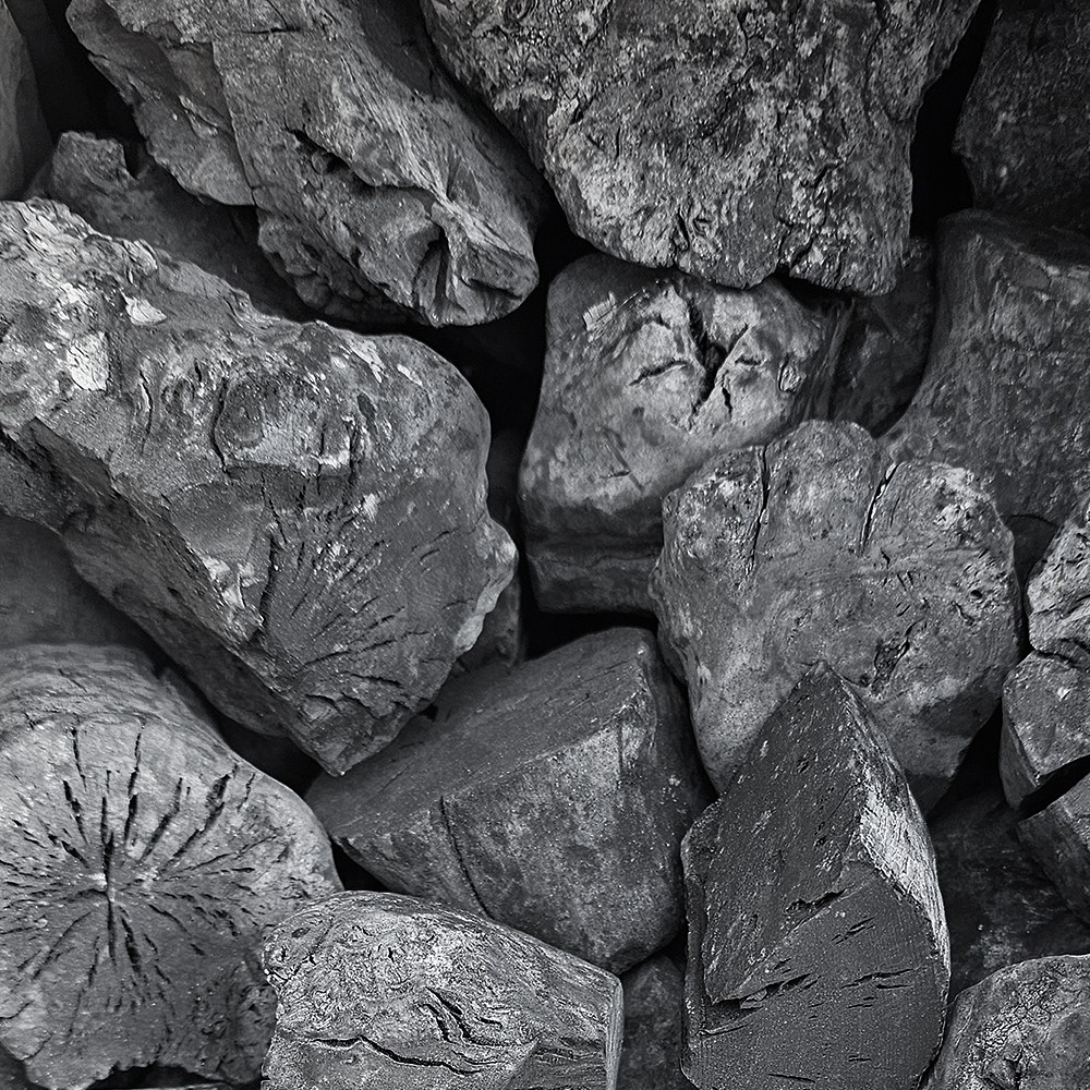 조인참숯 M 베트남커피나무 비장탄 10kg 튀지 않는 백탄 참숯 펜션 캠핑 바베큐 고기 대용량 업소용 37,000원