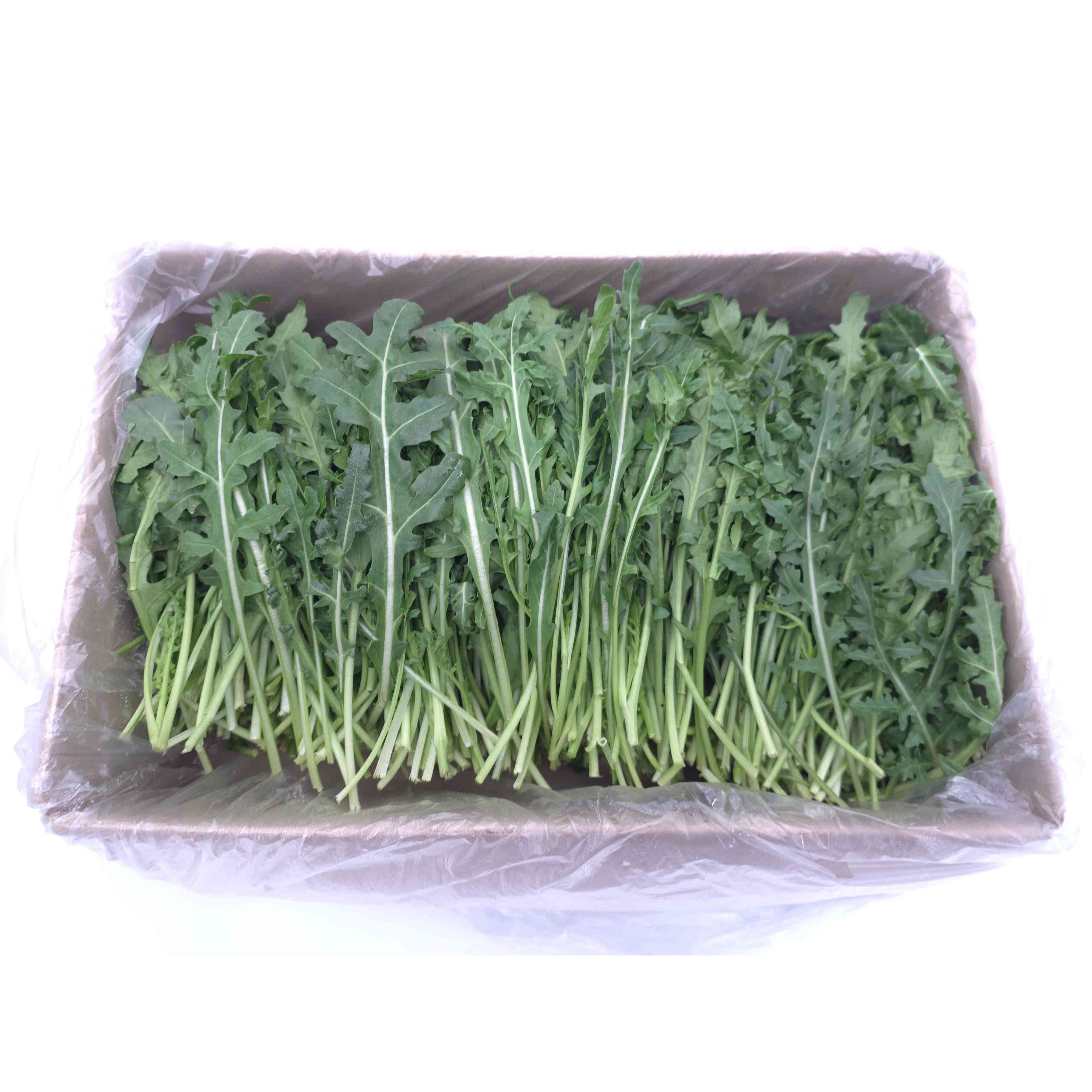 [허브온] 와일드 루꼴라 / 16년간 전국 호텔 및 레스토랑 공급채소, 1개, 1kg 9,200원