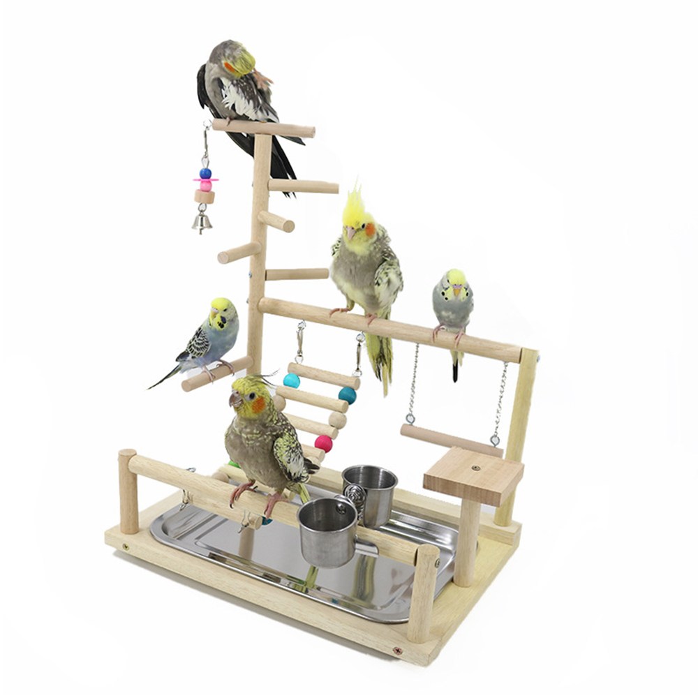 레브펫 앵무새 원목 놀이터 홰대, 1개, 혼합색상 26,900원