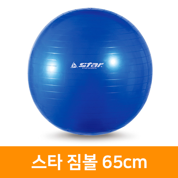 신신상사 스타 짐볼 65cm 12,800원