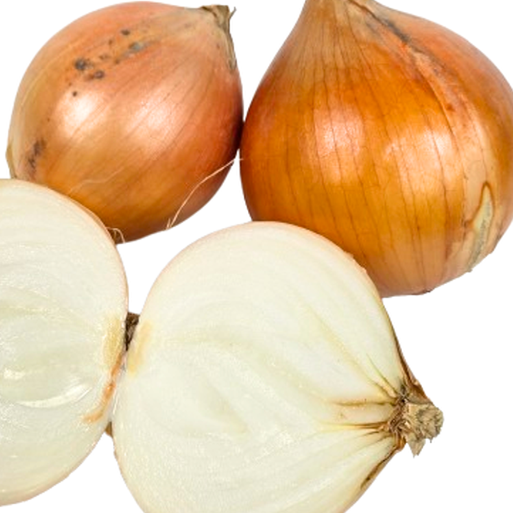 [사계농산]속이 꽉찬 전남 무안 국내산 양파, 1박스, 대(식당용) 2kg 6,700원